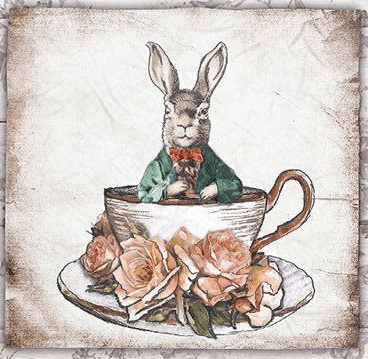 énigme du lapin gris